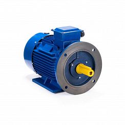 Электродвигатель ESQ 100 LB2-SDN- 4/3000 IMB35