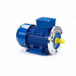 Электродвигатель ESQ 90 LB2-SDN-ЕТ2 3/3000 IMB35