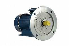 Электродвигатель 5АИ 90 L6 ET2 1,5/1000 IM2081