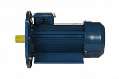 Электродвигатель 5АИ 90 L6 ET2 1,5/1000 IM2081
