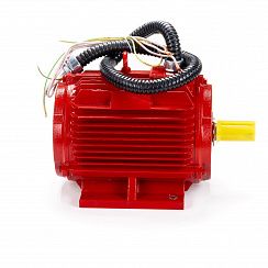 Электродвигатель ESQ 11,2-FR-400C-2hR 11/3000 IM1081