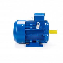 Электродвигатель ESQ 100 LB4-SDN- 3/1500 IMB3