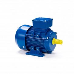 Электродвигатель ESQ 90 LB2-SDN-ЕТ2 3/3000 IMB3