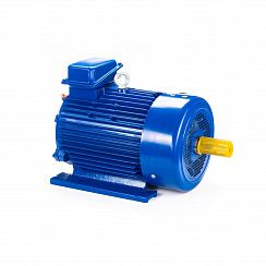 Электродвигатель 5МТКН 225 L6 55/1000 IM1003