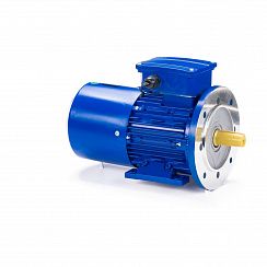 Электродвигатель 5АИ 90 L6 ET 1,5/1000 IM2081