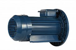 Электродвигатель 5АИ 90 L6 ET2 1,5/1000 IM2081