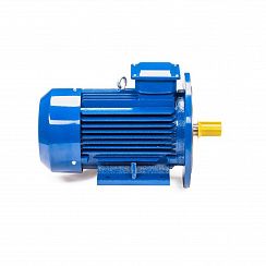 Электродвигатель 5АИ 100 L2Ж 5,5/3000 IM2081