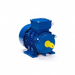 Электродвигатель ESQ 90 LB2-SDN-ЕТ2 3/3000 IMB3