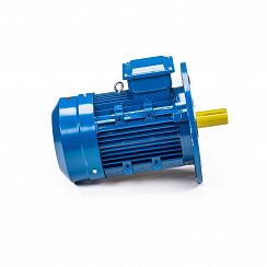 Электродвигатель 5АИ 100 L4 4/1500 IM3081