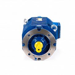 Электродвигатель 5ARM 64-24 SFL-Б1-S3-H-D-VFD 0,8/250 IM3001