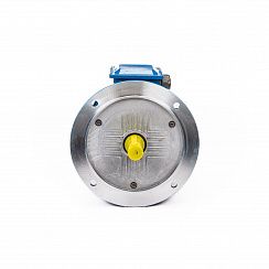 Электродвигатель 5АИ 100 L2 5,5/3000 IM3081