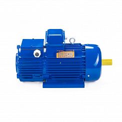 Электродвигатель 5МТН 411-8 15/750 IM1003