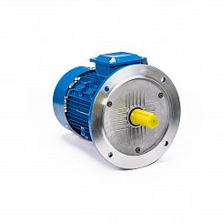 Электродвигатель 5АИ 100 L2 5,5/3000 IM3081